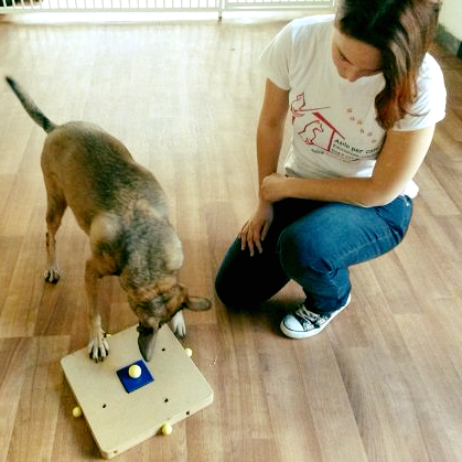 https://www.eteamdog.it/elena-staff-educazione-cinofila.jpg" alt=”Elena-staff educazione cinofila ”
